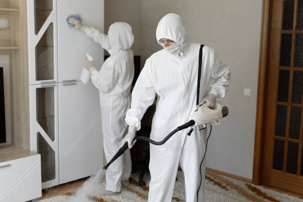 Best Toxic Mold Removal  in Cusseta, GA