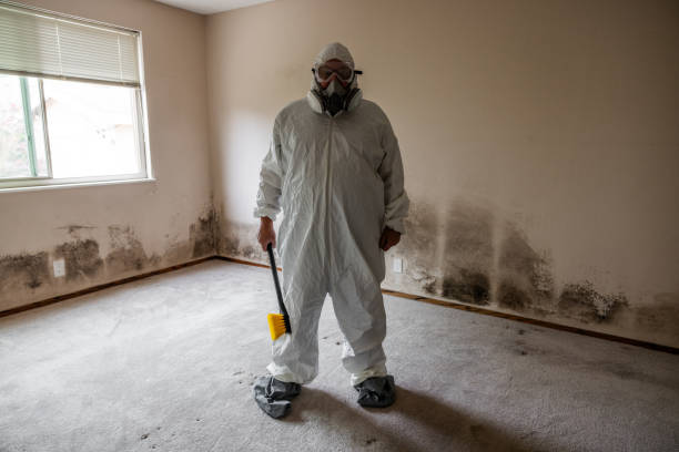 Best Crawl Space Mold Removal  in Cusseta, GA